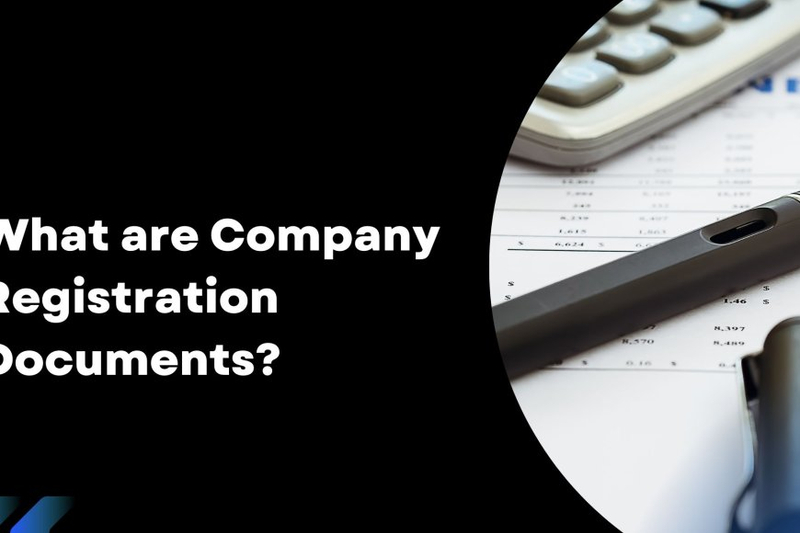 What are Company Registration Documents?