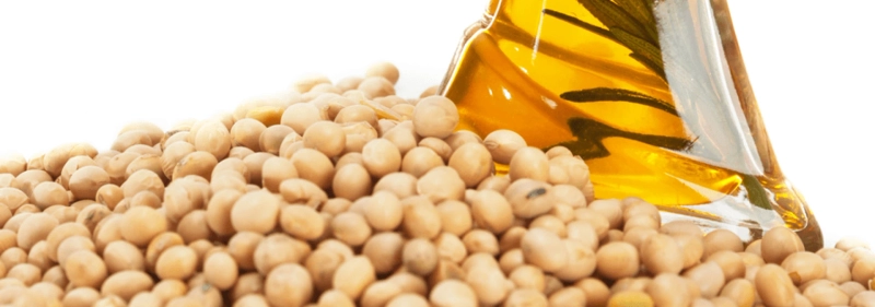 Soy Lecithin Market Growth Dynamics and Rising Factors during the forecast Period 2022-2028