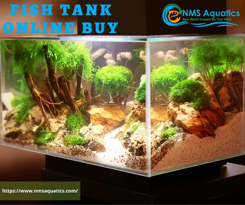 fish tank online buy