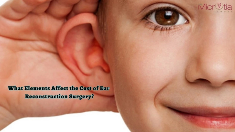What Elements Affect the Cost of Ear Reconstruction Surgery?