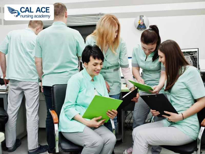 Want To Earn in Healthcare? CNA Online Course in the USA Is Your Key