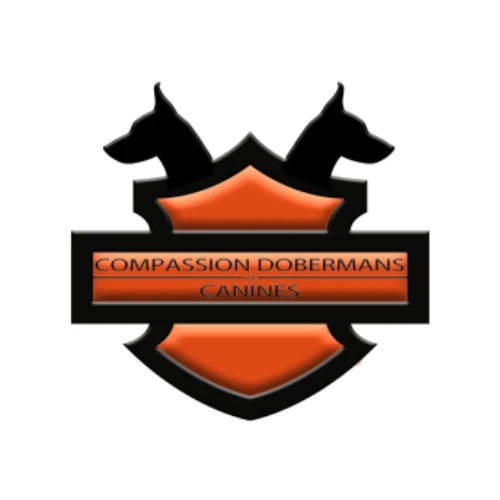 Doberman Pinscher Puppies Indiana: A Guide to Ethical Breeding and Confident Companions 🐕🏡