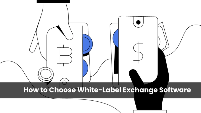 A Comprehensive Guide on How to Choose White-Label Cryptocurrency Exchange Software