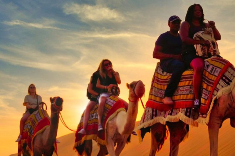 Uncovering the Secrets of Desert Safari