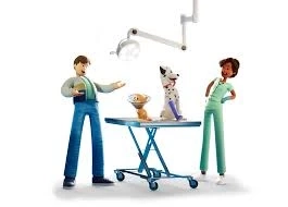 Understanding Pet Insurance: Protecting Your Furry Friends | dierenverzekering.online
