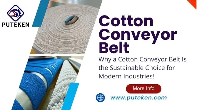 Why Cotton Conveyor Belts Remain Essential in Food Processing Lines?
