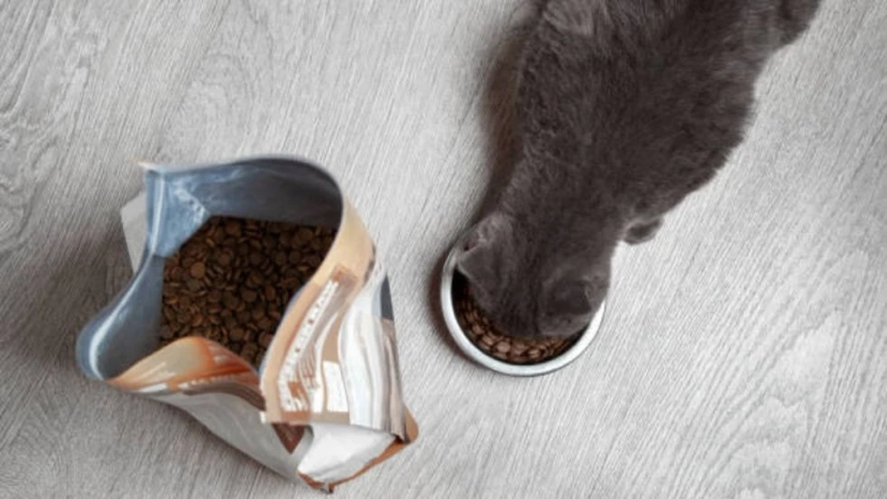 Wholehearted Cat Food: A Comprehensive Review