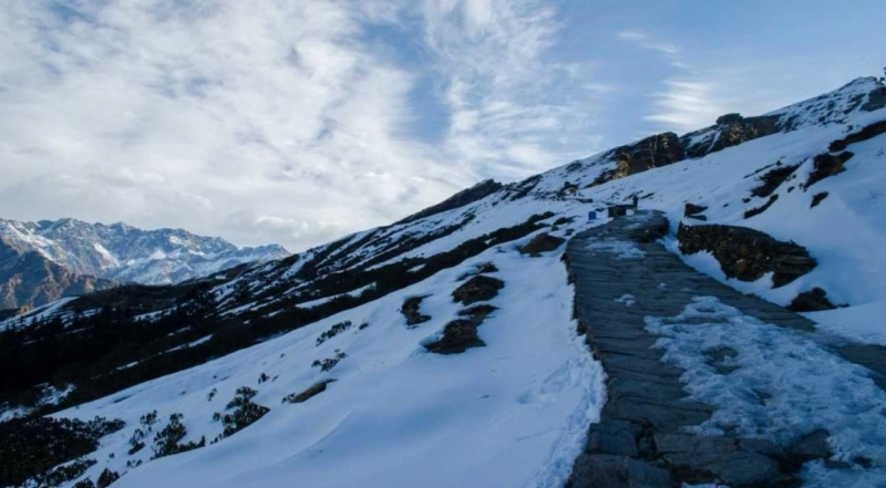 Uncover the Adventure: Chandrashila Trek from Chopta - Your Perfect Weekend Escape!