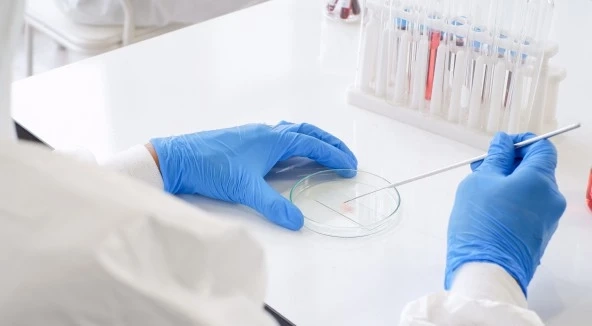 Strain Improvement in Yeast
