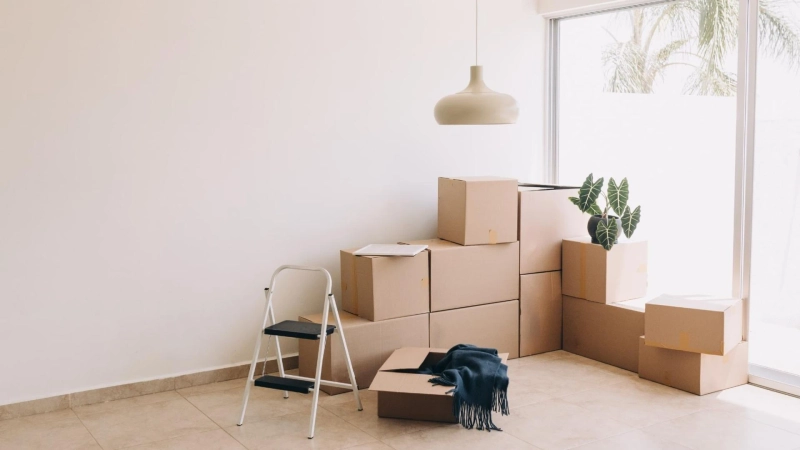 Top 10 Items Most Likely to Break During a House Move