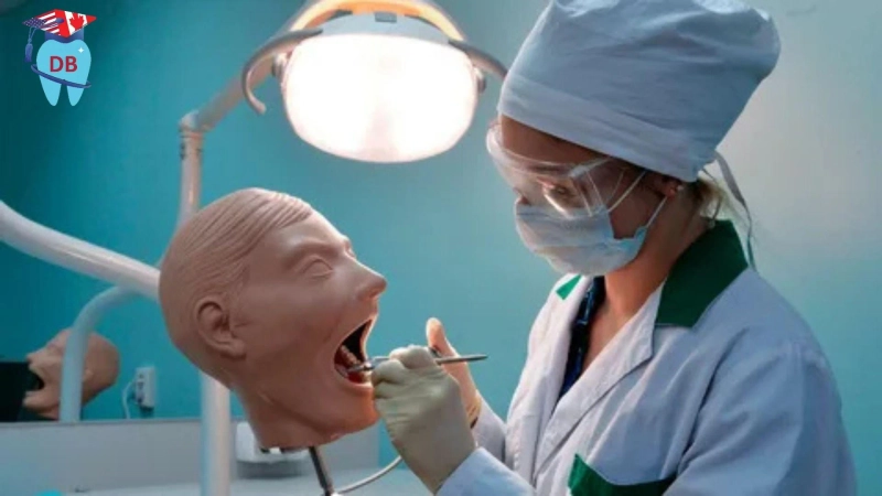 Top AFK Study Materials Recommended by Successful Candidates