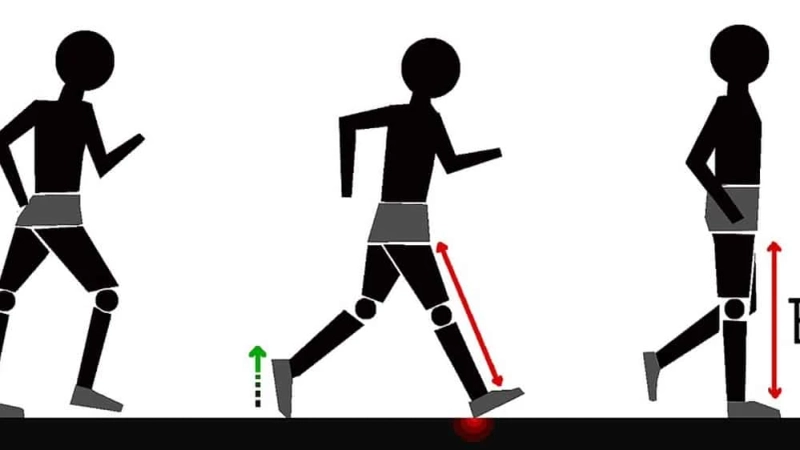Optimizing Your Posture: Better Back Solutions for a Pain-Free Life