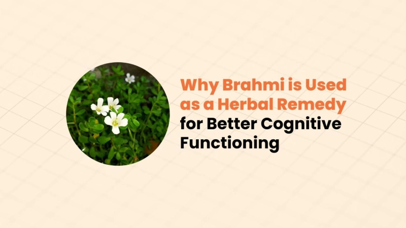 Why Brahmi is Used as a Herbal Remedy for Better Cognitive Functioning