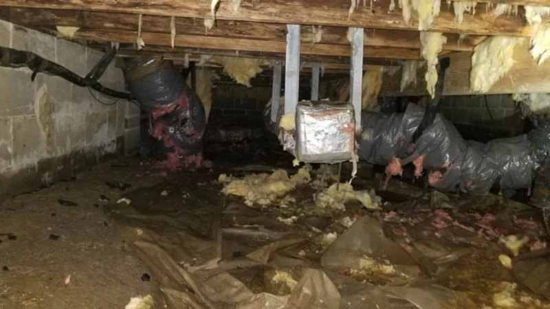 Crawl Space Cleaning Made Easy with Hawk Crawl Space & Foundation Repair