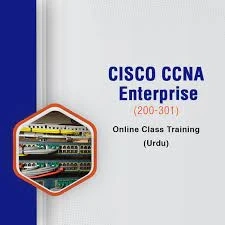 Double Your Profit With These 5 Tips on CISCO EXAM DUMPS