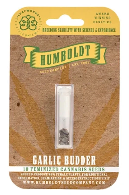 How To Pick The Right Garlic Budder Seeds