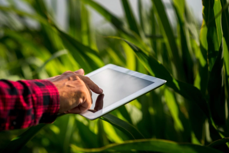 How Technology Is Transforming the Landscape of Agriculture Accounting