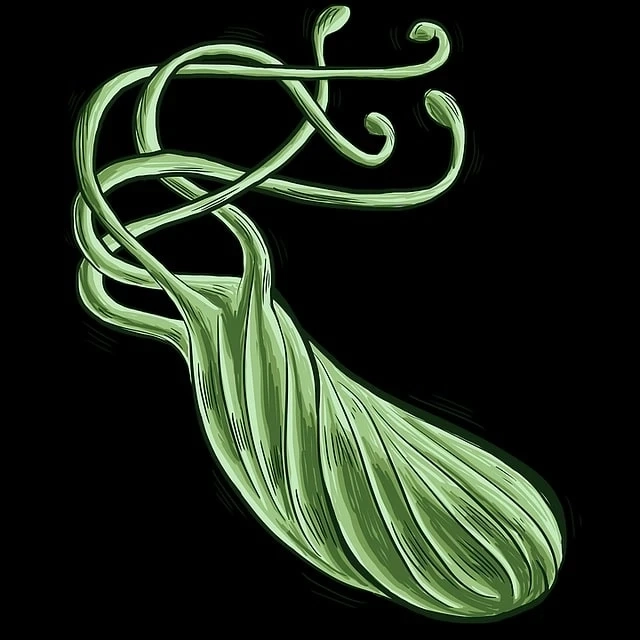 H. Pylori Test Market - Global Industry Analysis by Size, Share and Forecast 2022 – 2027