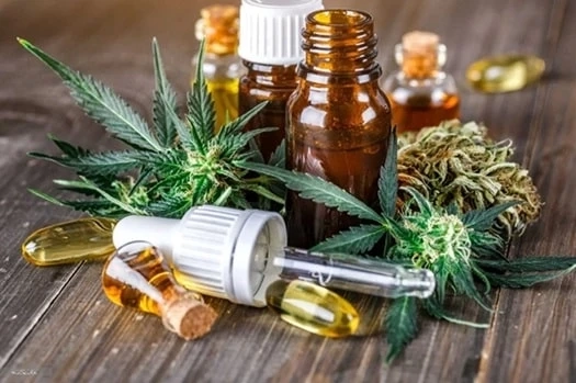 Top 10 Must-Try Cannabis Products Available for Purchase Online in Canada