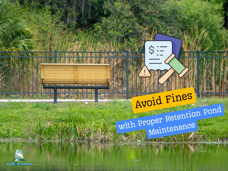 How to Avoid Fines with Proper Retention Pond Maintenance