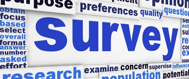 Market Survey Companies in Chennai | Arrow Point India