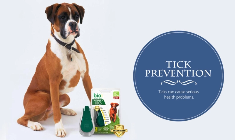 Twin Rivers – Your Trusted Animal Hospital