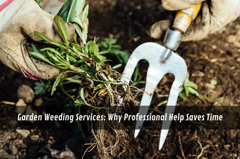 Garden Weeding Services: Why Professional Help Saves Time