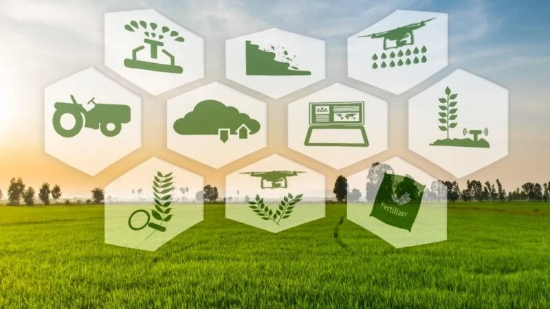 Agriculture Products Rapid Test Service Market Insights 2022, Size, Share Trends, Analysis to 2027