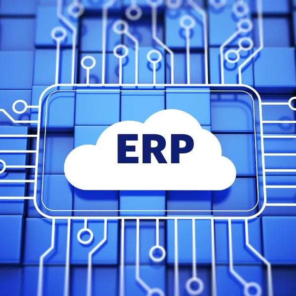 How Microsoft Dynamics 365 Partners in USA Support Growing Enterprises