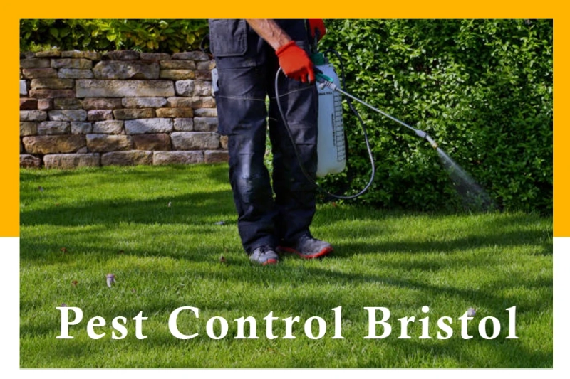 How do commercial pest control Bristol services differ from that of residential?