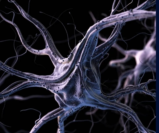 Restoring Health and Vitality with Advanced Stem Cell Solutions