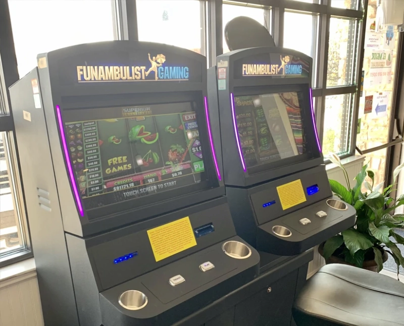 From Arcades to Bars: Rise of Skill Machines in Unexpected Places