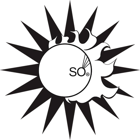 Best Place to Buy Solar Panels - Powerleaf Panels - SO Collective