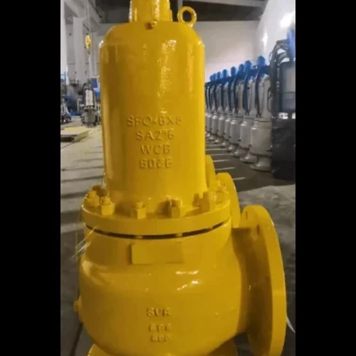 Steam safety valve supplier and manufacturer in Jeddah