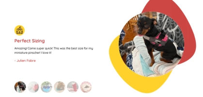 Top notch Tactics to Secure Economical Pet Supplies