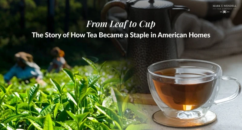 From Leaf to Cup: The Story of How Tea Became a Staple in American Homes
