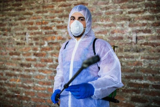 Pest Control Tips for Your Home and Office