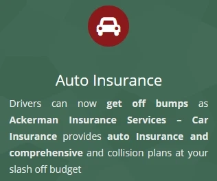 How is auto insurance Naples FL a suitable way of vehicle insurance?
