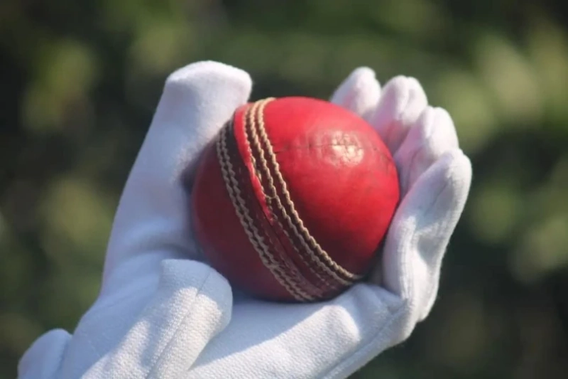 Examining the Bowling Excellence in the IPL on T20live