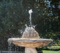 The Buyer's Dilemma: Finding The Ideal Fountain Pump For Your Needs