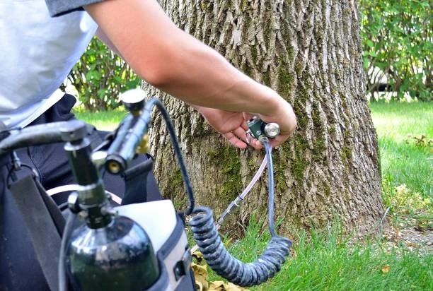Choosing the Right Insecticide for Ash Tree Injections