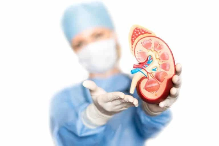 What Is a Nephrologist?