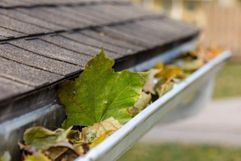 Avail the Most Reliable Services of Gutter Cleaning in Cobham