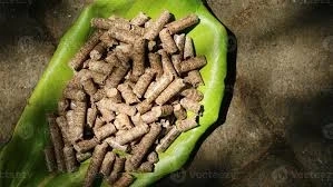 7 Major Benefits of Pellets De Madeira and Hardwood Charcoal That Force You to Buy