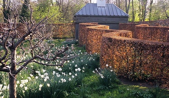 What do all good trees for privacy have in common?