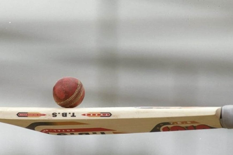The Art and Science Behind the Cricket Bat