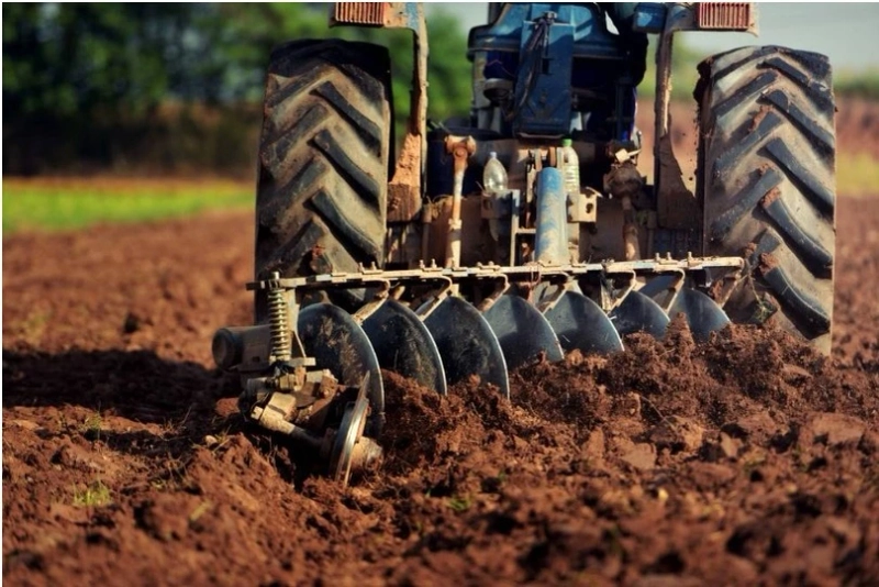 Agriculture Land Investment in Faisalabad – A Smart Long-Term Opportunity