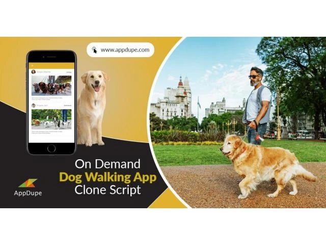 Which company can provide me an online dog-walking app?