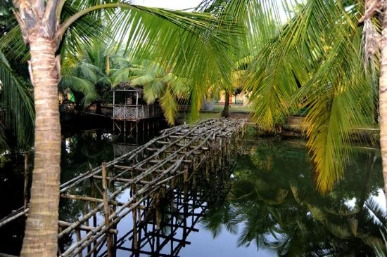 3 Reasons to Compare Sundarban Tour Packages before Choosing One