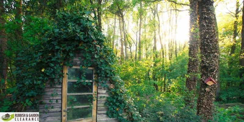 Garden clearance Sutton: How to recycle glass bottles in the garden?